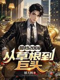 回档2008，从草根到巨头