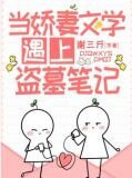 当娇妻文学遇上盗墓笔记